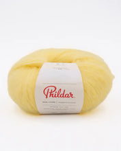 Afbeelding in Gallery-weergave laden, Phil Givre