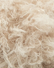 Afbeelding in Gallery-weergave laden, Phil Sibéria NEW