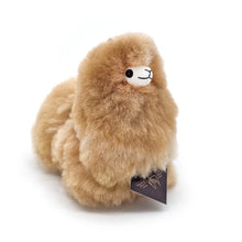 Afbeelding in Gallery-weergave laden, Mini Alpaca (14-15cm)