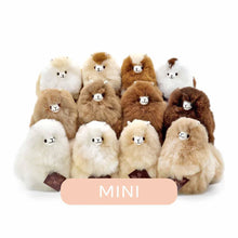 Afbeelding in Gallery-weergave laden, Mini Alpaca (14-15cm)
