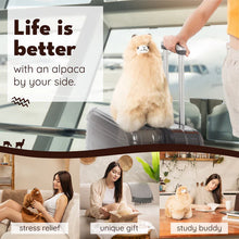 Afbeelding in Gallery-weergave laden, Medium Alpaca (32-33cm)