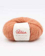 Afbeelding in Gallery-weergave laden, Phil Givre
