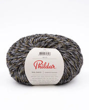 Afbeelding in Gallery-weergave laden, Phil Disco

