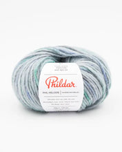 Afbeelding in Gallery-weergave laden, Phil Melodie
