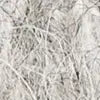Afbeelding in Gallery-weergave laden, Phil Chic
