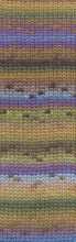 Afbeelding in Gallery-weergave laden, Wooladdicts Mystery
