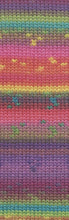Afbeelding in Gallery-weergave laden, Wooladdicts Mystery
