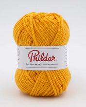 Afbeelding in Gallery-weergave laden, Phil Partner 6
