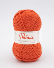 Afbeelding in Gallery-weergave laden, Phil Partner 6
