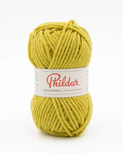 Afbeelding in Gallery-weergave laden, Phil Partner 6

