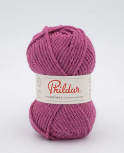 Phil Partner 6