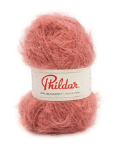 Afbeelding in Gallery-weergave laden, Phil Beaugency NEW COLORS
