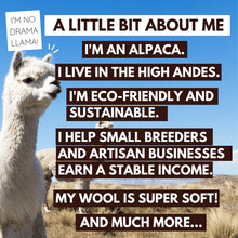 Afbeelding in Gallery-weergave laden, Mini Alpaca (14-15cm)
