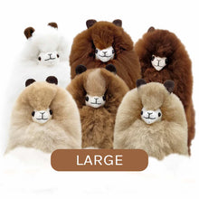 Afbeelding in Gallery-weergave laden, Large Alpaca (50cm)
