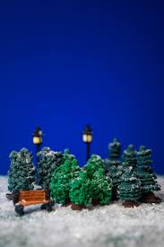 KERSTHUISJES HAKEN