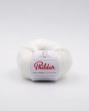 Afbeelding in Gallery-weergave laden, Phil Caresse
